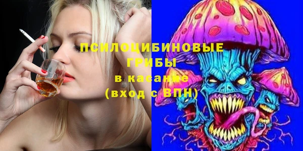 стафф Абинск