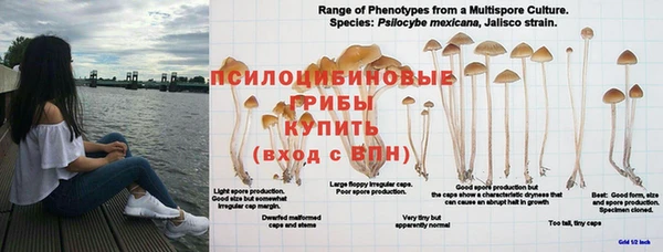 стафф Абинск